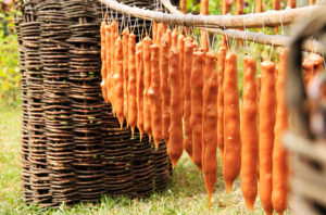 Image of a string of churchkhela drying in the sun